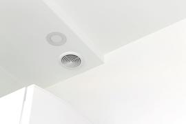 Extractor cacareando [2/2]